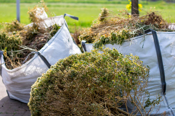 Best Yard Cleanup Services  in Paynesville, MN