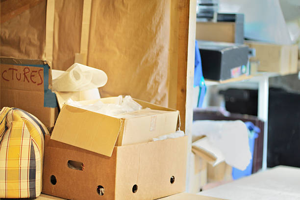 Best Estate Cleanout Services  in Paynesville, MN