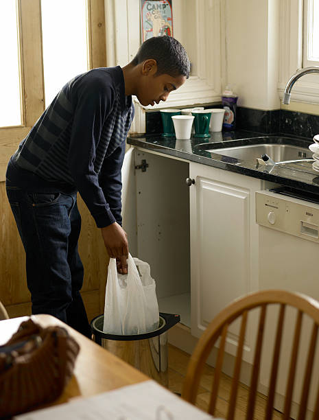 Best Office Junk Removal  in Paynesville, MN